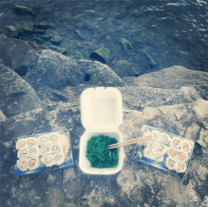 Sushi Picnic