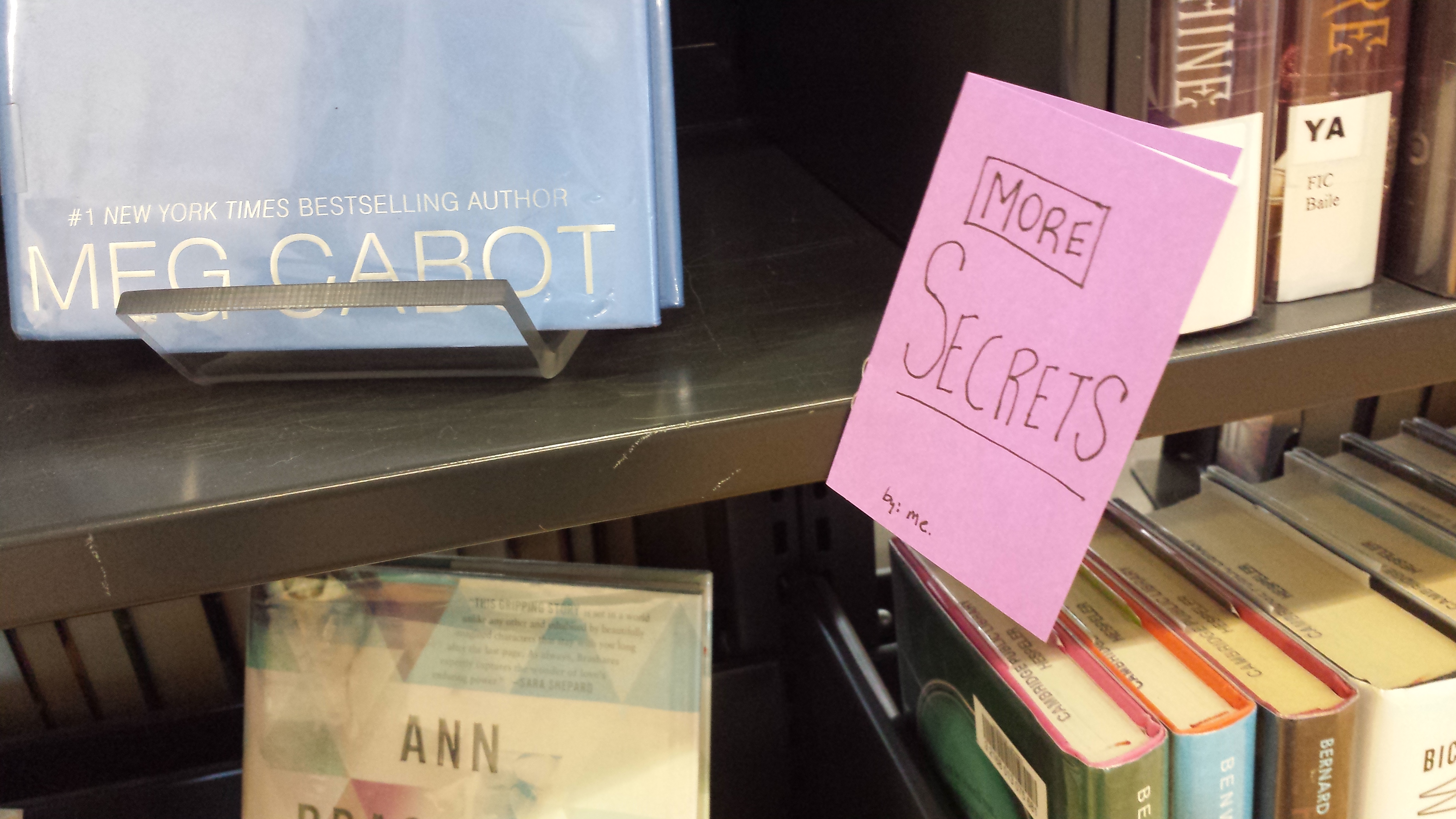 YA Diary Fiction: Teen Book Display – Ontarian Librarian