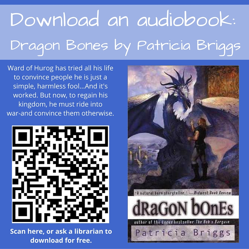 audio book sign 1 – Ontarian Librarian