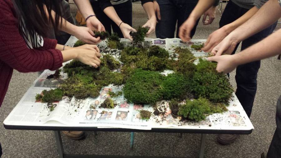 12235071_10153275747077341_8897824665599564343_n