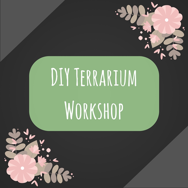 DIYmini-Terrariums