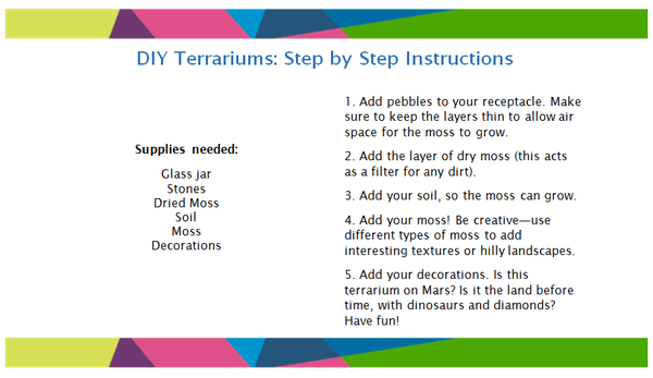 Terrarium Take Home Instruction Sheet