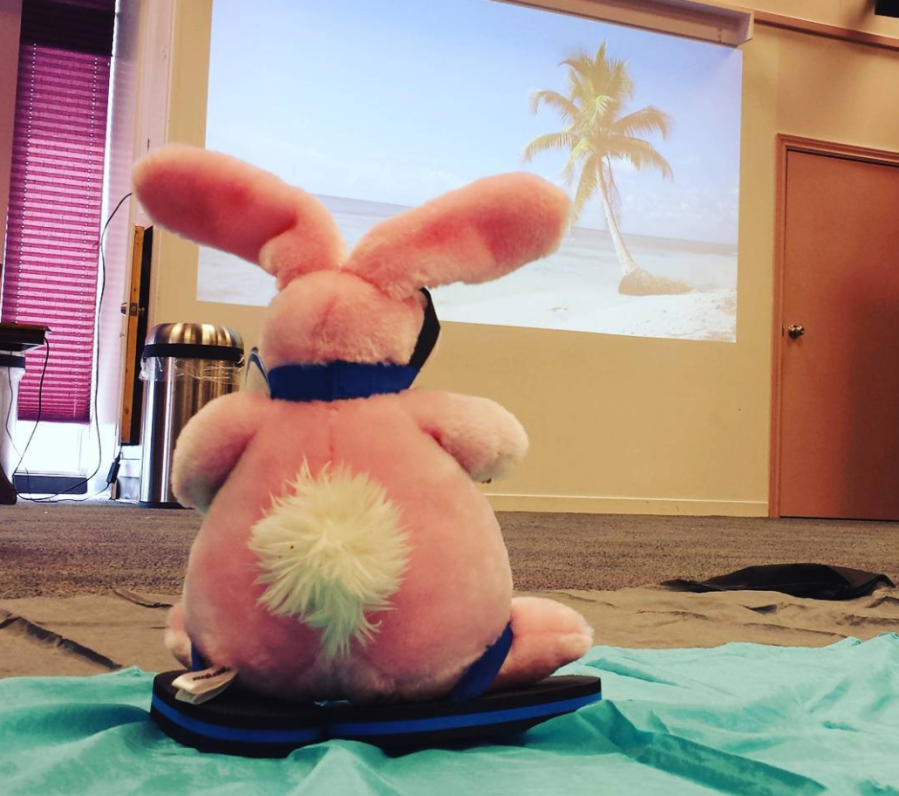 teddy bear picnic tropical