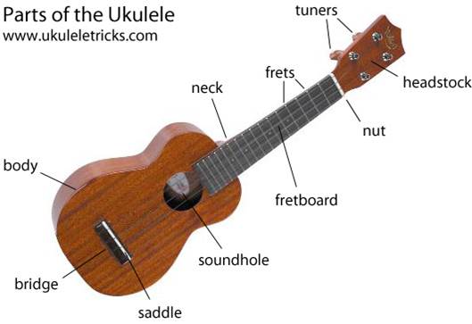 ukulele diagram